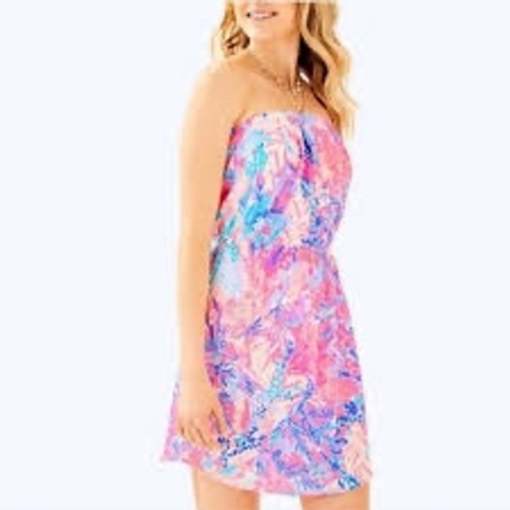Lilly Pulitzer Windsor Dress Light Pascha Aquadesiac‎ Mini Dress XL